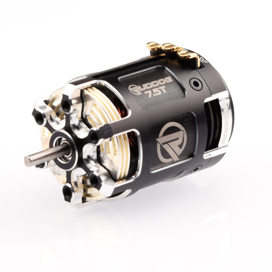 Ruddog RP-0440 - RP542 5.5T 540 Sensored Brushless Motor