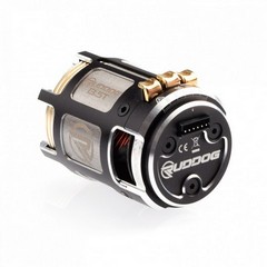 RUDDOG Racing RP542 17.5T 540 Stock Sensored Brushless Motor (EFRA)