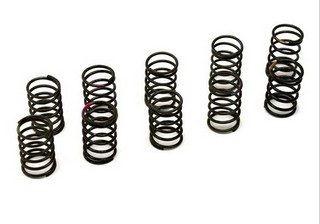 Reflex Racing RSD AE TC6/TC6.1 Tuned Spring Set - Black Edition