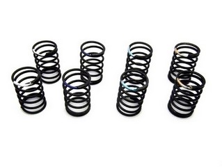 Reflex Racing RSD T6C.2 Spring Set